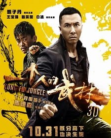 Kung Fu Jungle (2014) คนเดือดหมัดดิบ