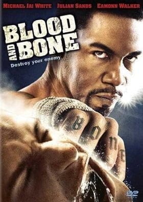 Blood and Bone (2009) โคตรคนกำปั้นสั่งตาย