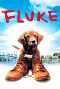 Fluke 1995 เกิดใหม่กลายเป็นหมา